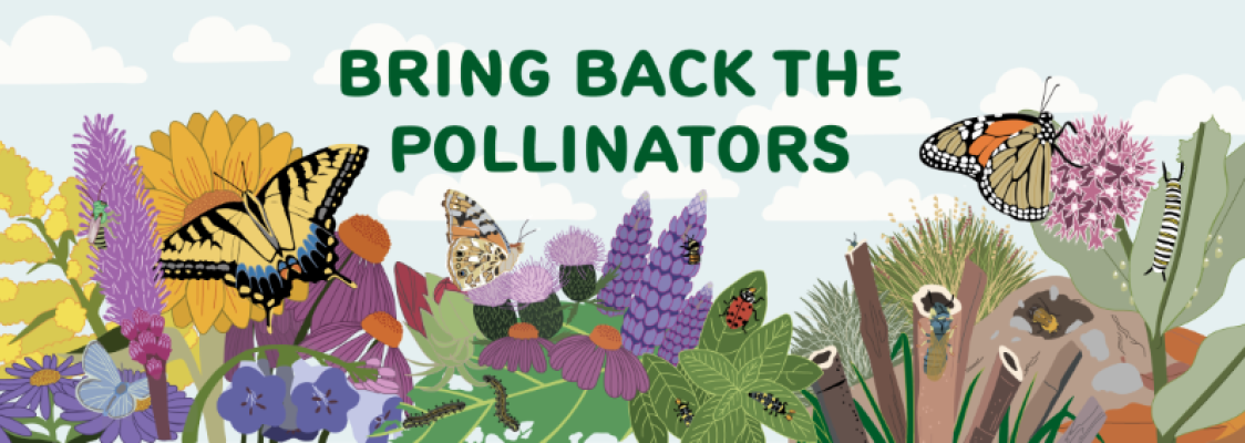 Colorful illustration of insects on native plants, beneath text reading "Bring Back the Pollinators"