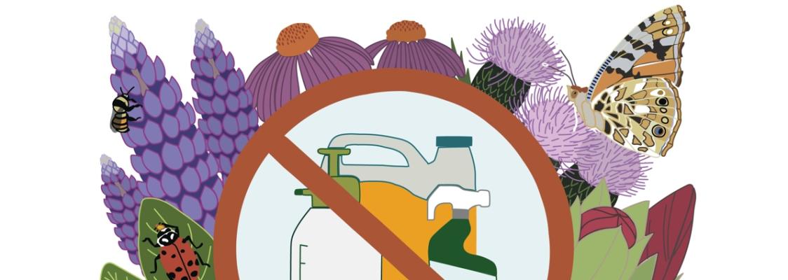 An illustration of pesticide bottles crossed out, surrounded by flowers and pollinators.