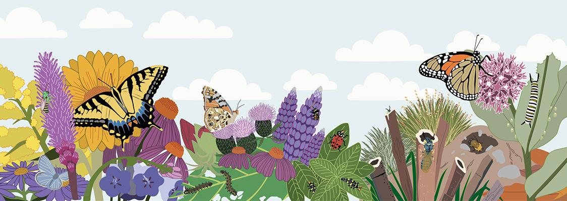 Illustration of a pollinator garden with colorful native flowers, grasses, leaves, and logs, featuring butterflies, bees, beetles, caterpillars, and other insects under a pale blue sky with clouds