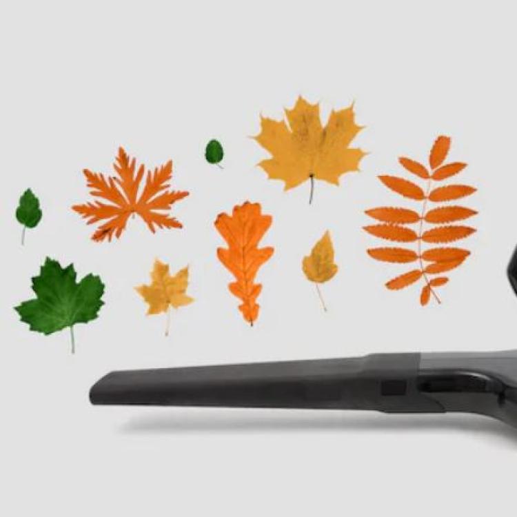 Leaves and a blower nozzle. (iStock/Chloe Meister/Washington Post illustration)