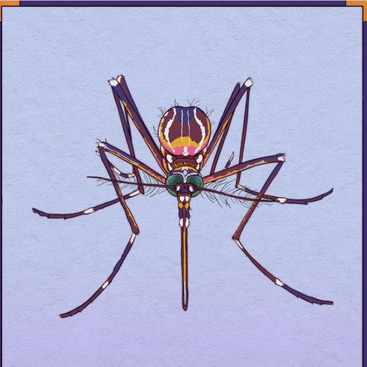 Graphic illustration of a mosquito (Michelle Kondrich/The Washington Post)